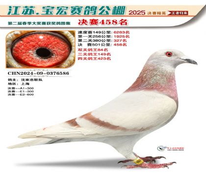寶宏春棚決賽458名