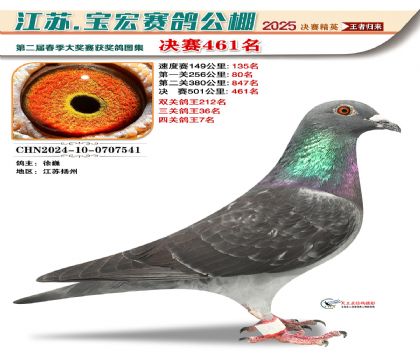 寶宏春棚決賽461名
