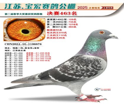 寶宏春棚決賽463名