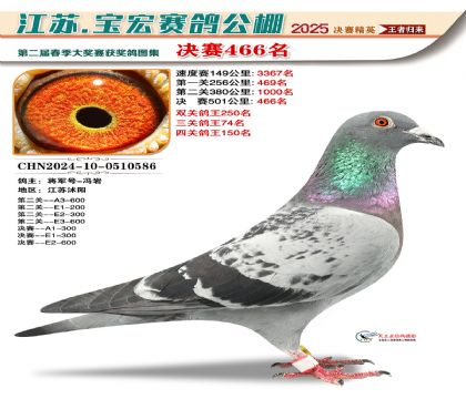 寶宏春棚決賽466名
