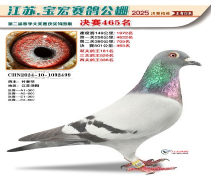 寶宏春棚決賽465名