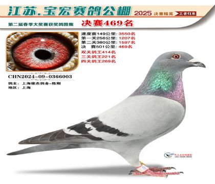 寶宏春棚決賽469名