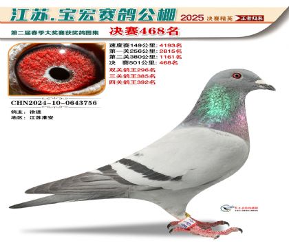 寶宏春棚決賽468名