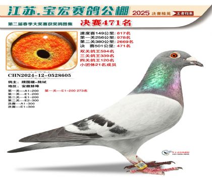寶宏春棚決賽471名
