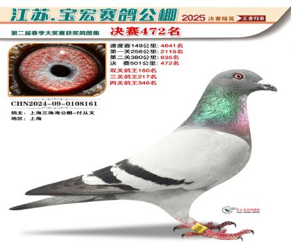 寶宏春棚決賽472名