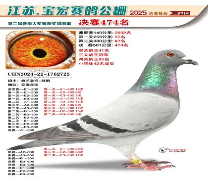 寶宏春棚決賽474名