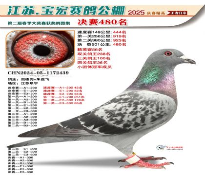 寶宏春棚決賽480名