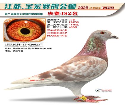 寶宏春棚決賽482名