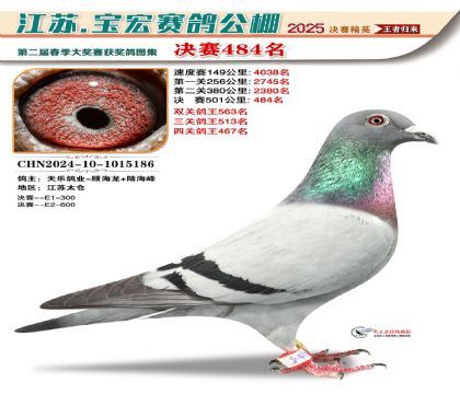 寶宏春棚決賽484名