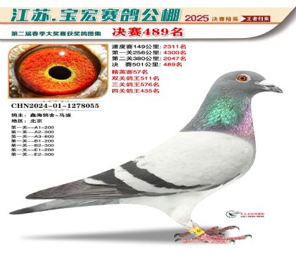 寶宏春棚決賽489名