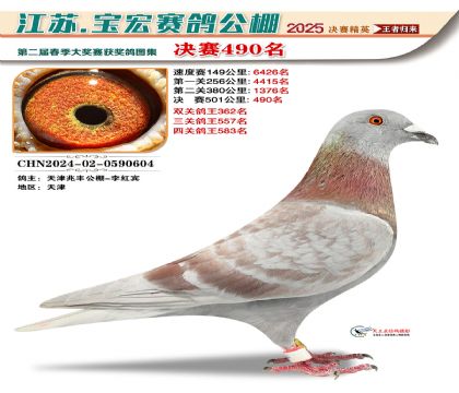 寶宏春棚決賽490名