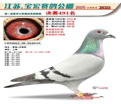 寶宏春棚決賽491名
