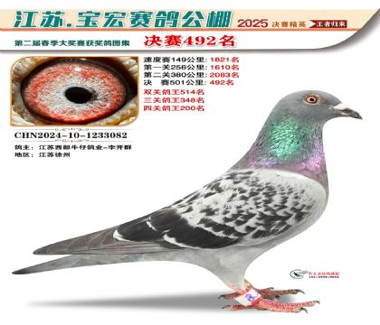 寶宏春棚決賽492名