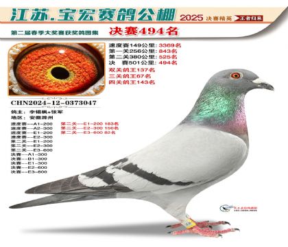 괺Qِ494