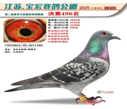 寶宏春棚決賽496名
