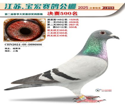 寶宏春棚決賽500名