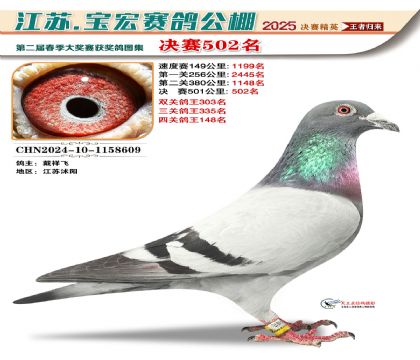 寶宏春棚決賽502名
