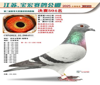 寶宏春棚決賽504名