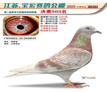 寶宏春棚決賽503名