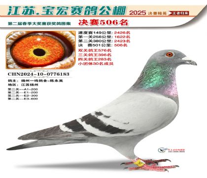 寶宏春棚決賽506名
