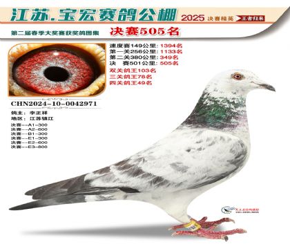寶宏春棚決賽505名