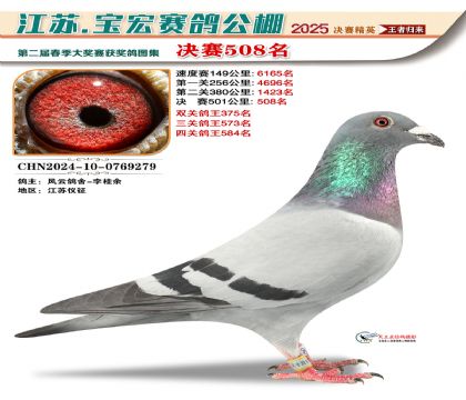 寶宏春棚決賽508名