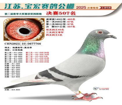 寶宏春棚決賽507名