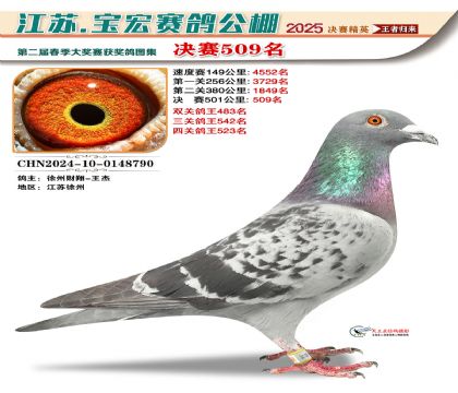 寶宏春棚決賽509名