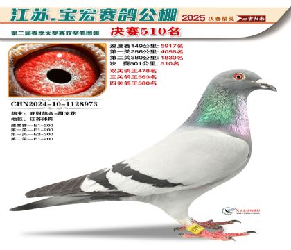 寶宏春棚決賽510名