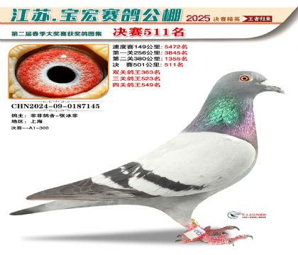 寶宏春棚決賽511名