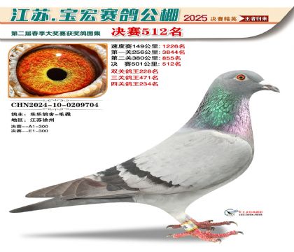 寶宏春棚決賽512名