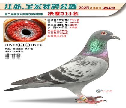 寶宏春棚決賽513名