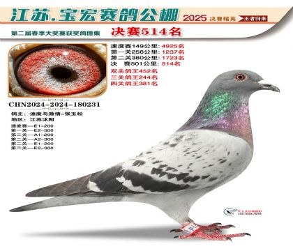 寶宏春棚決賽514名