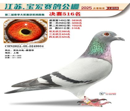 寶宏春棚決賽516名