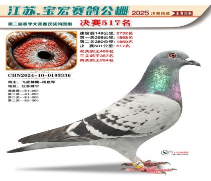 寶宏春棚決賽517名