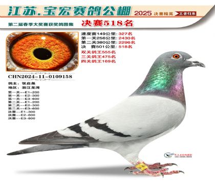 寶宏春棚決賽518名
