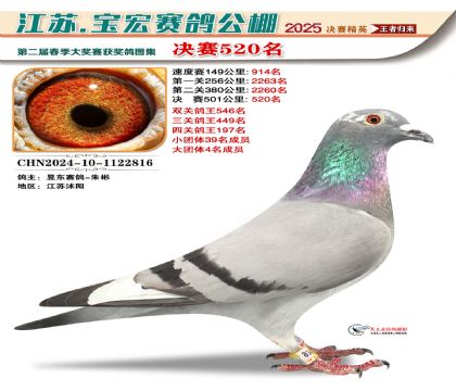 寶宏春棚決賽520名