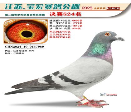 寶宏春棚決賽524名