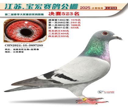 寶宏春棚決賽523名