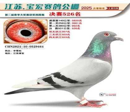 寶宏春棚決賽526名