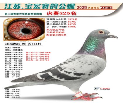 寶宏春棚決賽525名
