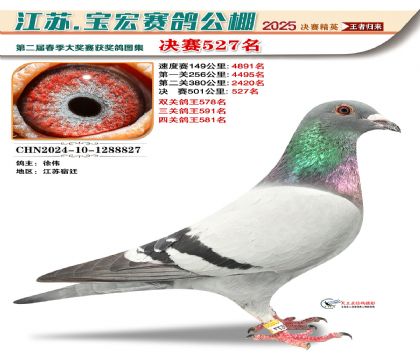 寶宏春棚決賽527名