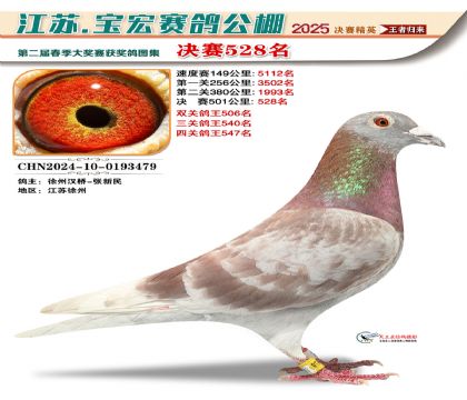 寶宏春棚決賽528名