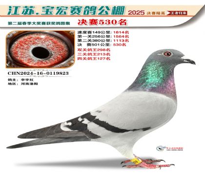 寶宏春棚決賽530名