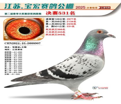 寶宏春棚決賽531名