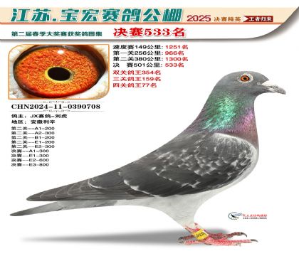 寶宏春棚決賽533名