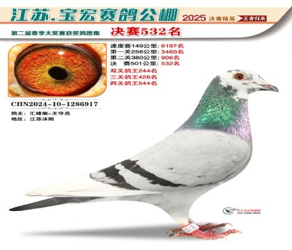 寶宏春棚決賽532名