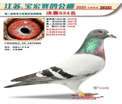 寶宏春棚決賽534名