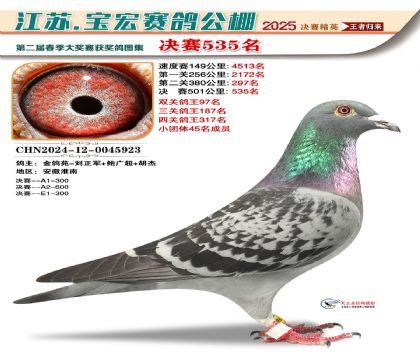 寶宏春棚決賽535名