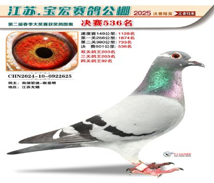 寶宏春棚決賽536名
